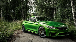 green BMW coupe, BMW M4, car, green car, forest