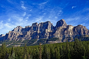 gray rocky mountains HD wallpaper