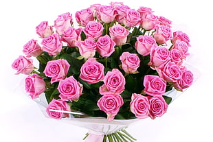 pink flower bouquet with white background