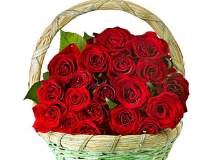 red Rose flower bouquet on wicker basket HD wallpaper
