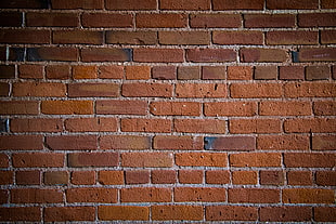 Carcassonne, Wall, Bricks, Texture HD wallpaper