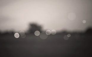 Glare,  Circles,  Shadow,  Background HD wallpaper