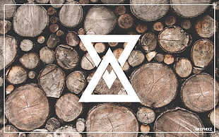 brown corkwood, wood, logo