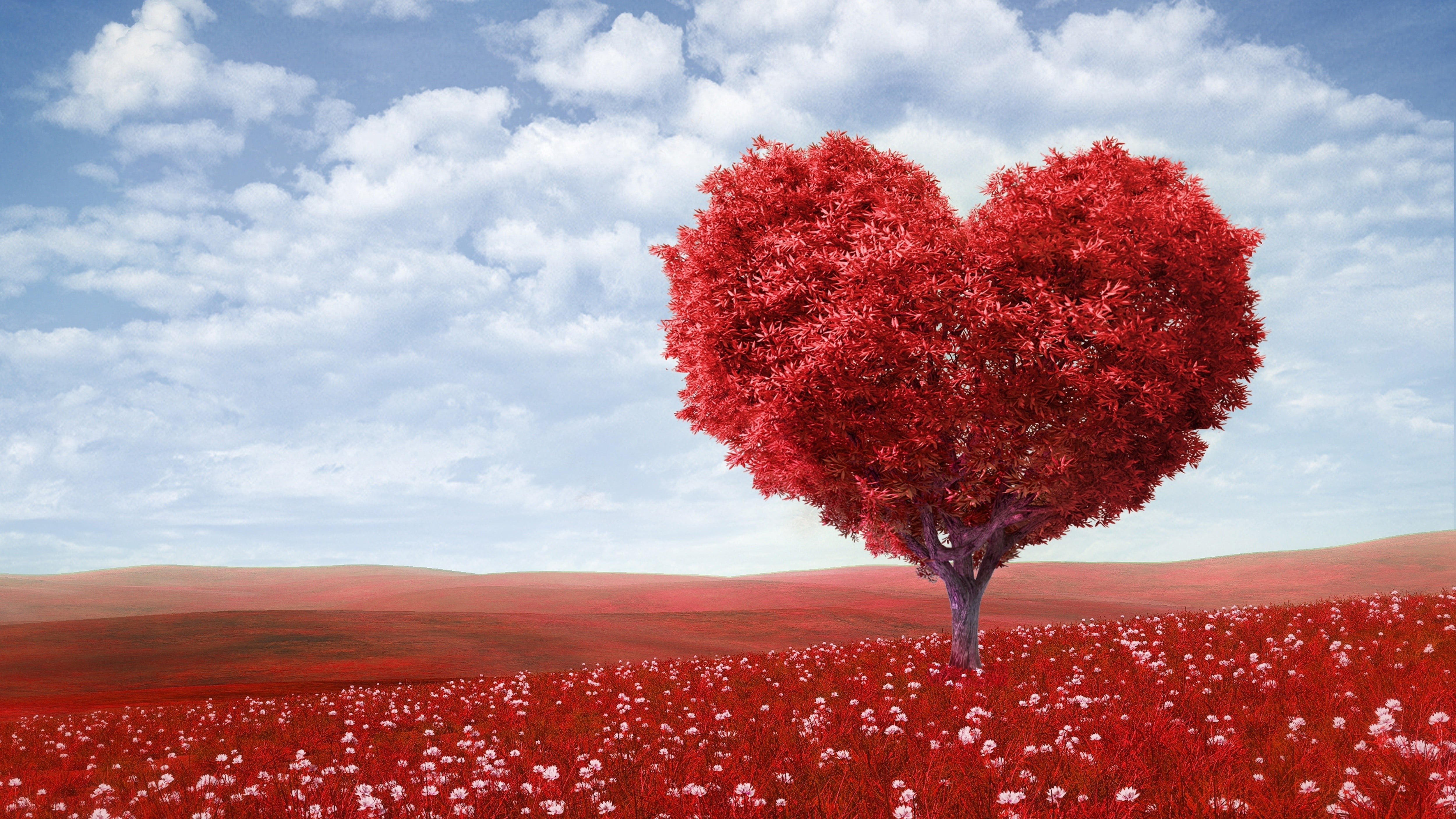 red tree leaves on red flower field during daytime