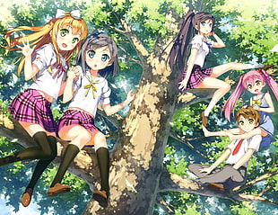 female anime characters digital wallpaper
