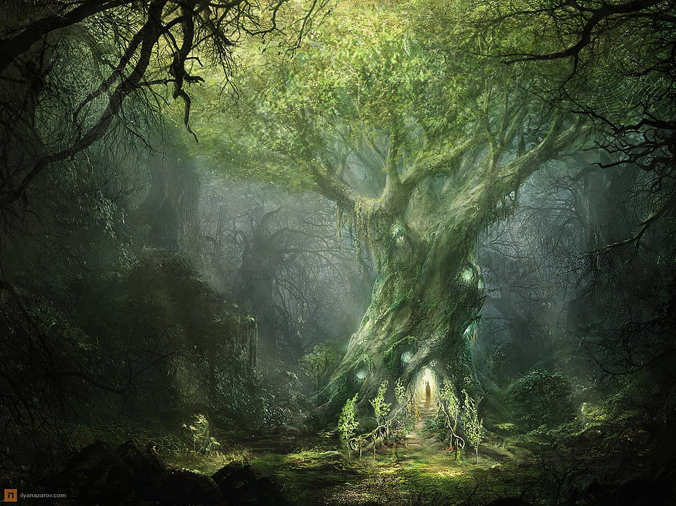 painting of green tree, fantasy art, forest HD wallpaper
