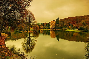 brown lake, landscape, trees, lake, fall HD wallpaper