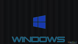 blue and black Windows logo, Windows 10, Microsoft Windows