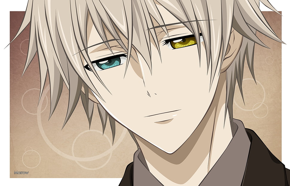 grey haired male anime character HD wallpaper