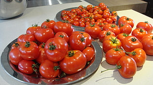 red Tomatoes