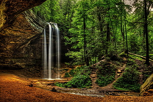 waterfalls surrounded green leafed trees, trees, waterfall
