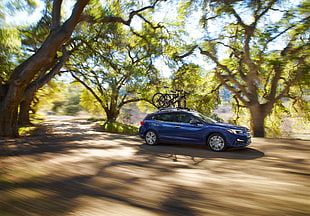 blue 5-door hatchback car on brown pathway surrounded by green trees