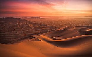 desert during golden hour, landscape, nature, Morocco, desert HD wallpaper