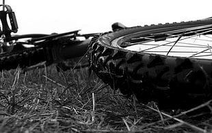 macro shot photography of bicycle on grass HD wallpaper