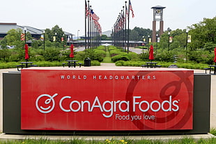 ConAgra Foods food you love poster