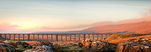 panoramic photography of bridge beside the desert HD wallpaper