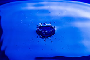 water droplet, Spray, Water, Close-up