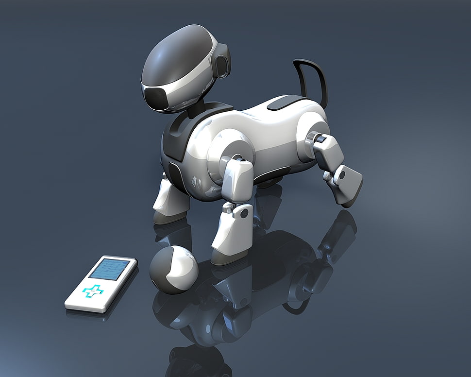 white and grey robot dog toy with remote HD wallpaper