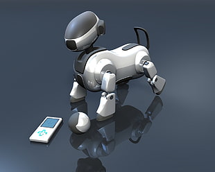 white and grey robot dog toy with remote HD wallpaper