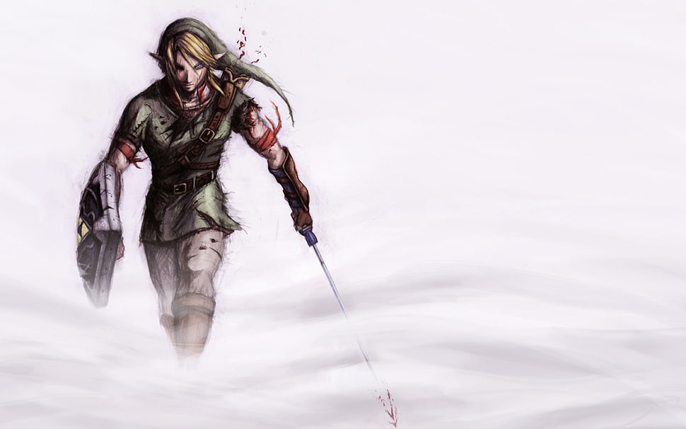 The Legend of Zelda Link illustration HD wallpaper