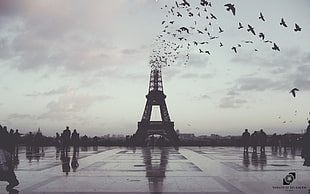 Eiffel Tower, Paris, Paris, photo manipulation, Photoshop, city HD wallpaper