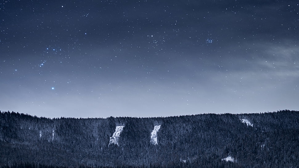 landscape photo, night, forest, snow, stars HD wallpaper