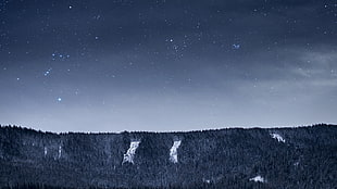 landscape photo, night, forest, snow, stars