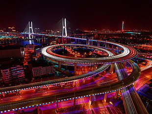 blue, red, and green train track table, cityscape, city, Nanpu Bridge, Shanghai