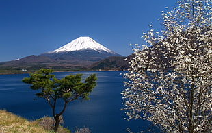 Mount Fuji, Japan, sky, Mount Fuji, sea, trees