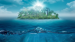 island with coconut trees digital wallpaper, beach, island, sea