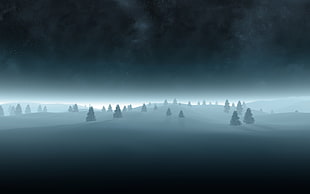 snow field with trees, winter, snow, trees, nature