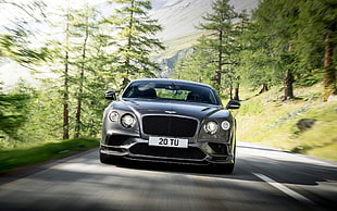 silver Bentley Continental HD wallpaper