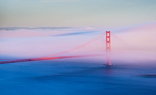 Golden Gate foggy photography HD wallpaper