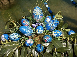 blue assorted eggs HD wallpaper