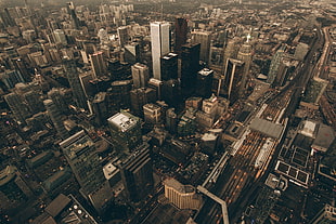 aerial photography of high rise buildings