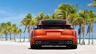 orange vehicle, Porsche Panamera, car HD wallpaper