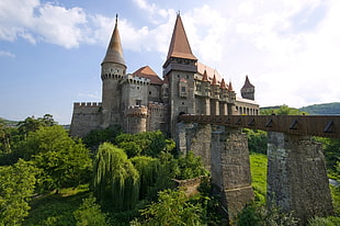 gray castle beside green trees photo