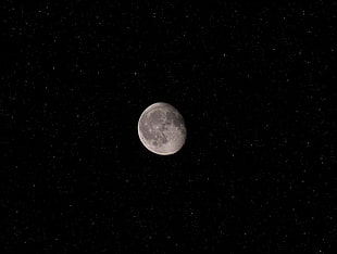 full moon, nature, Moon, stars HD wallpaper