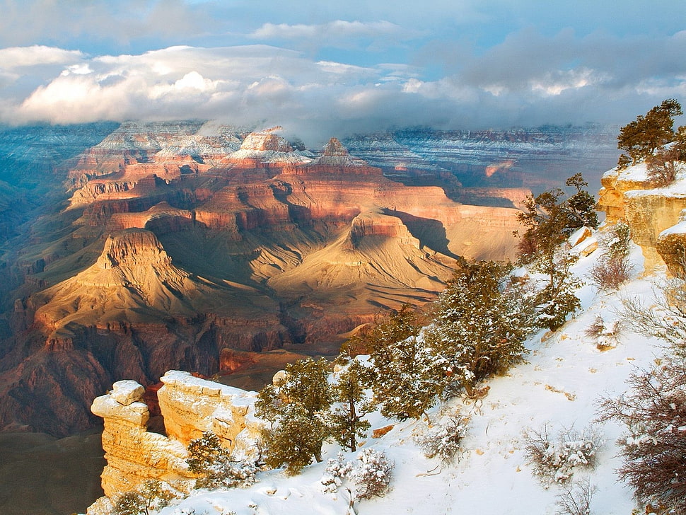 grand canyon during daytime HD wallpaper