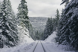 snow covered railway, Path, Forest, Winter