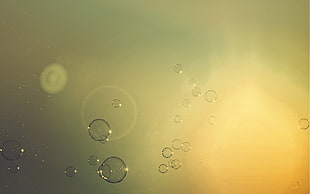 photo of bubbles HD wallpaper