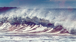 waves, waves, sea, nature