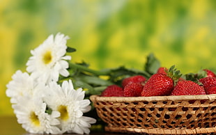brown wicker basket with Strawberry HD wallpaper