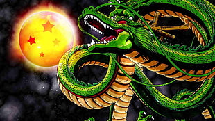 Dragoball Z Shenron illustration, Dragon Ball