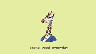 smoke weed everyday wallpaper, giraffes HD wallpaper