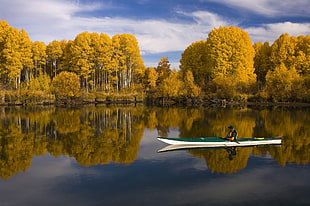 wide lake surrounded with yellow leaf trees at daytime