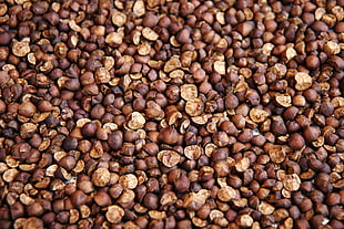 brown nuts