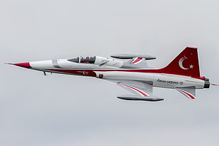 white and red plane, Turkish Stars, Turkish Air Force, Türk Yıldızları, Turkish