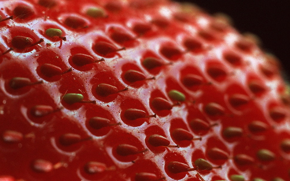 Strawberry,  Berry,  Surface,  Shadow HD wallpaper