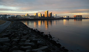 gray city buildings beside body of water during sunrise